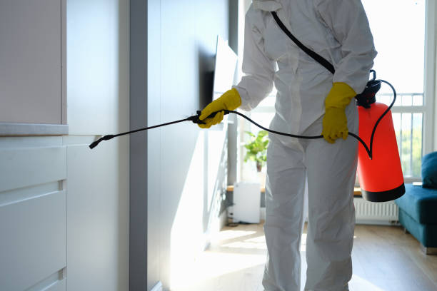 Best Preventive Mold Services in Passapatanzy, VA