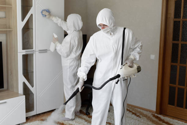 Best Kitchen Mold Remediation in Passapatanzy, VA