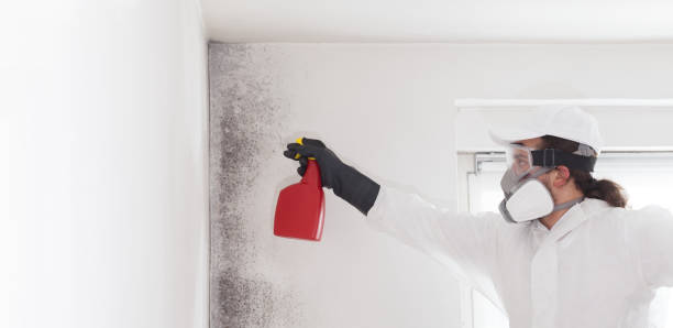 Best Attic Mold Remediation in Passapatanzy, VA